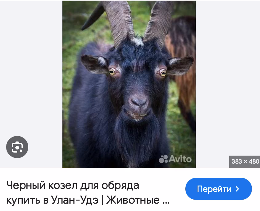 7ad73930930f5129198017cbb5a80fac.jpg