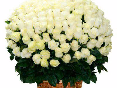 7ae4d021e511437655f5adcce8ba2647.avif