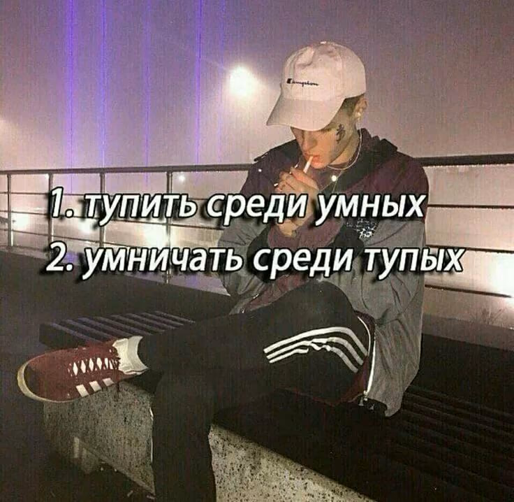 7ae556eb9d49c4c6f8118d32fca77c0c.avif
