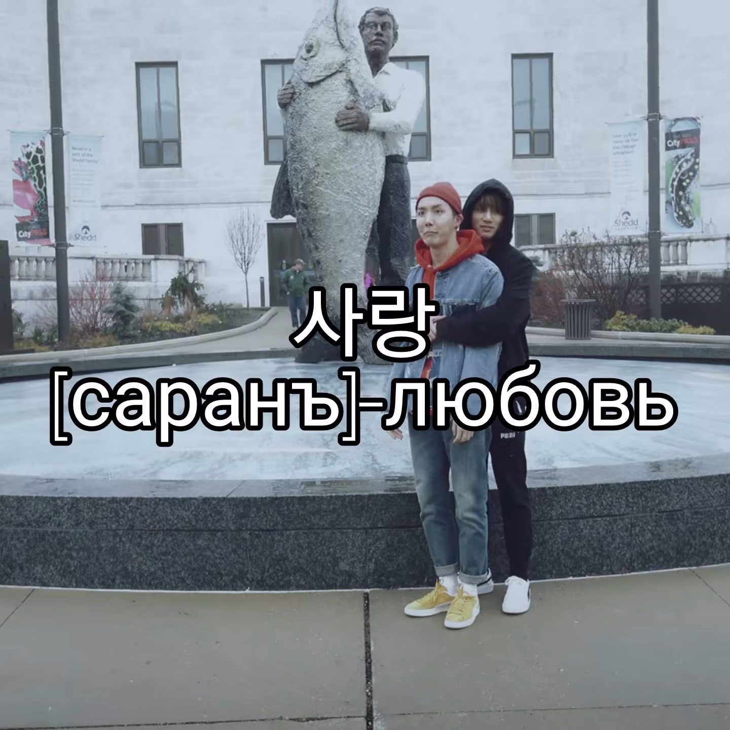 7aeabb3064ed8ff68b28e351b9a8869a.jpg