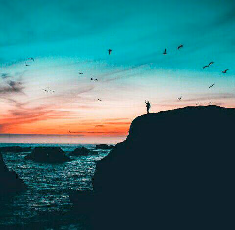 7b3c7bb748d6de6dd532b6c3cccd8fec.avif