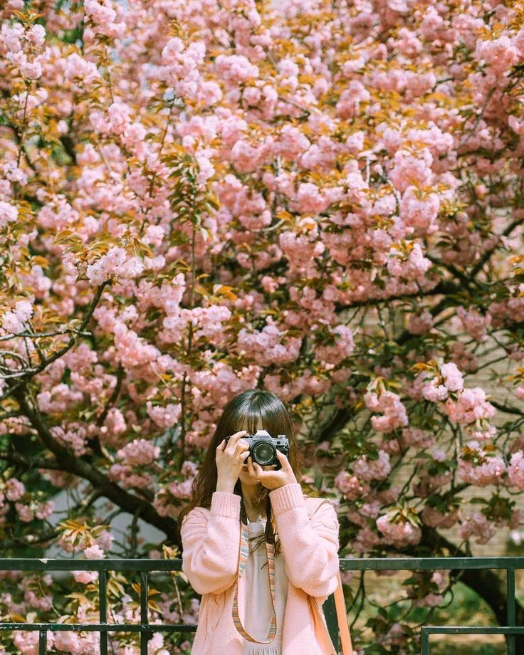 7b5279c8faee0f4d0427b80d08c2d95b.avif