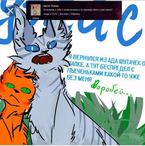 7b79a6cadecc0c364e7ea6e7f45c9b03.avif