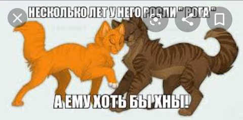 7b7acb677eee185a933145dcbde34348.avif