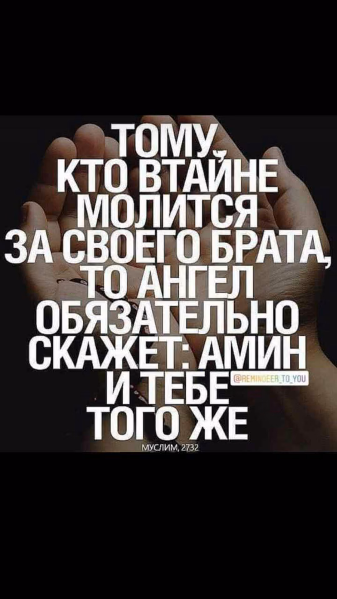 7b98e833f5761c2e51c044866adfa4fe.jpg