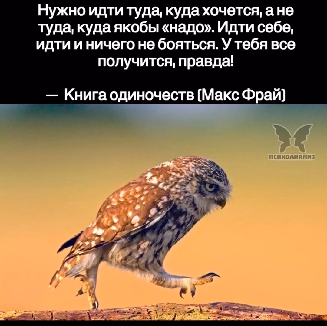7ba58da53cbbc3a8ed78b57db9af555a.jpg