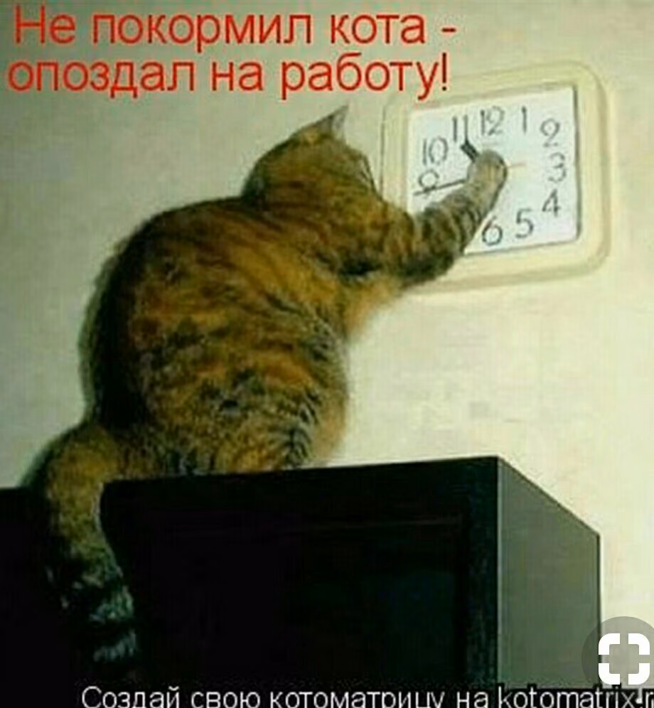 7bb821c06b12b43ea8f5e57b361de975.jpg