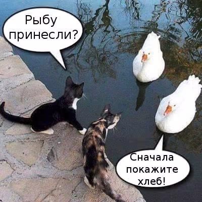 7bda582d54276bc88489e8f1dcfcc184.avif