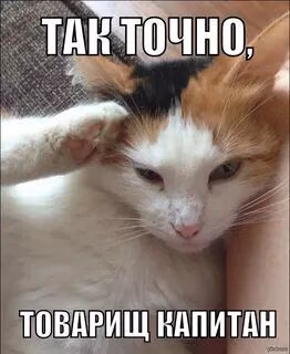 7be8b7efb6f7af75dfd82c3822491d8d.avif