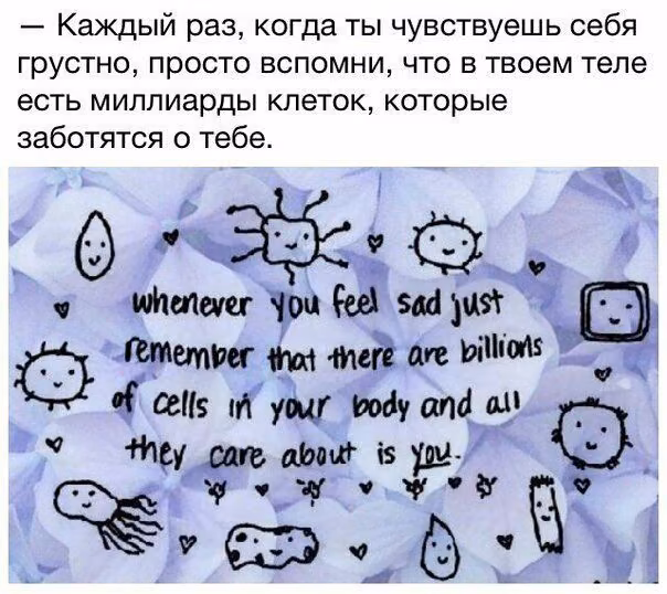 7bf4fbe1926e41326c708658610f6dc9.avif