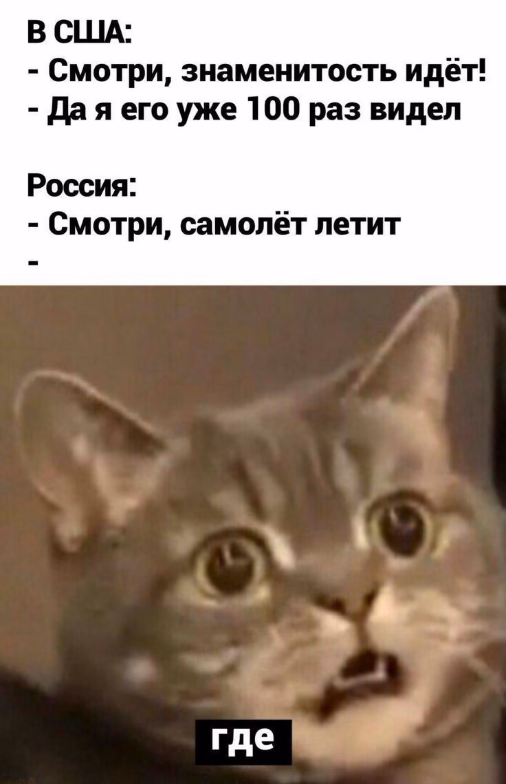 7c0741c69b70389dae27c9818d11160e.avif