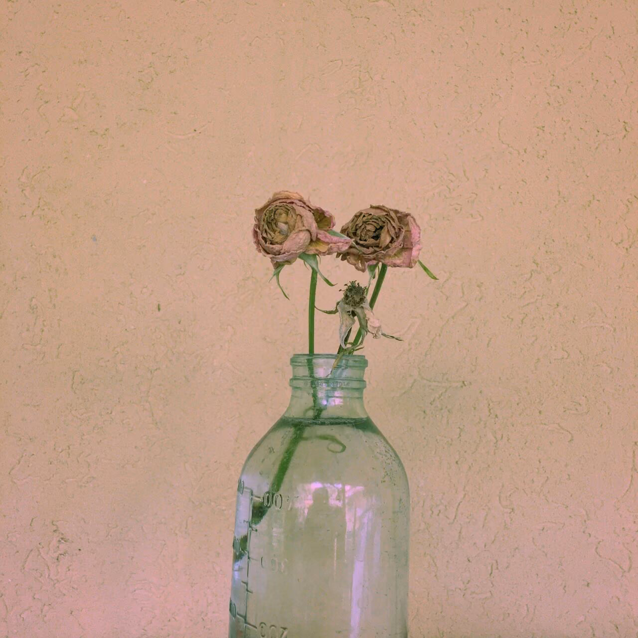 7c0d400c1b5ccd04fac74de58d654733.jpg