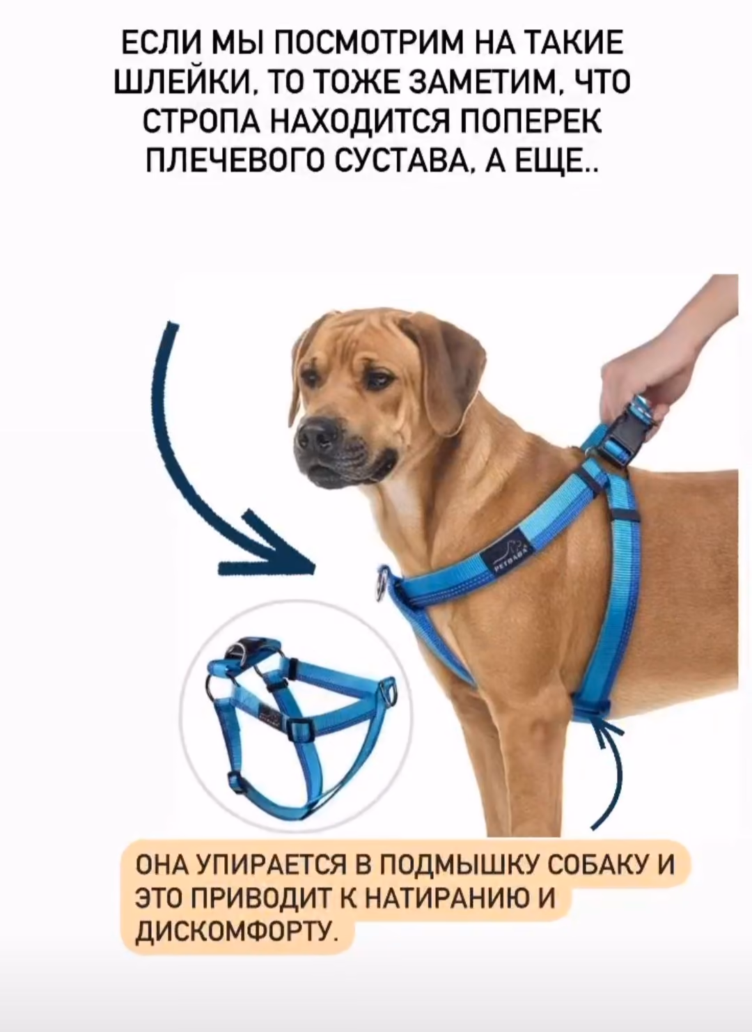 7c12c17ed127cff1acb6776245706fb6.avif