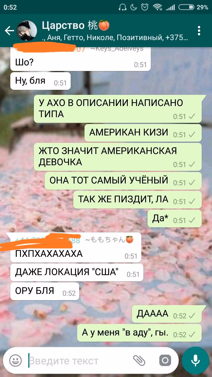 7c3377650b31e0c129a58b4634e52453.avif