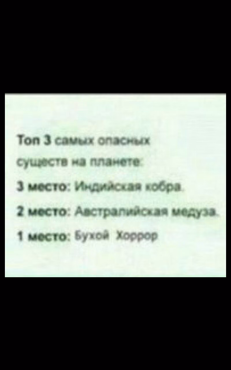 7c5aa70787862b10e99be398a4bb8335.jpg