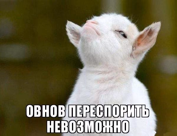 7c5cc2a5f4270778cd504077498d9b72.avif