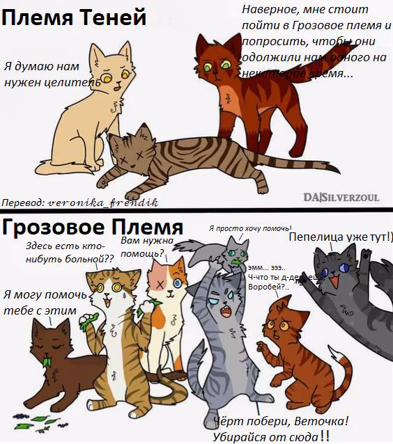 7c71c5601b47a237d72cb15842321a7a.avif