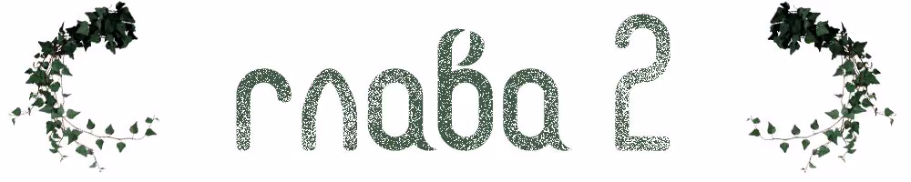 7c768654da6fcf82fbc819bccfa0831e.avif