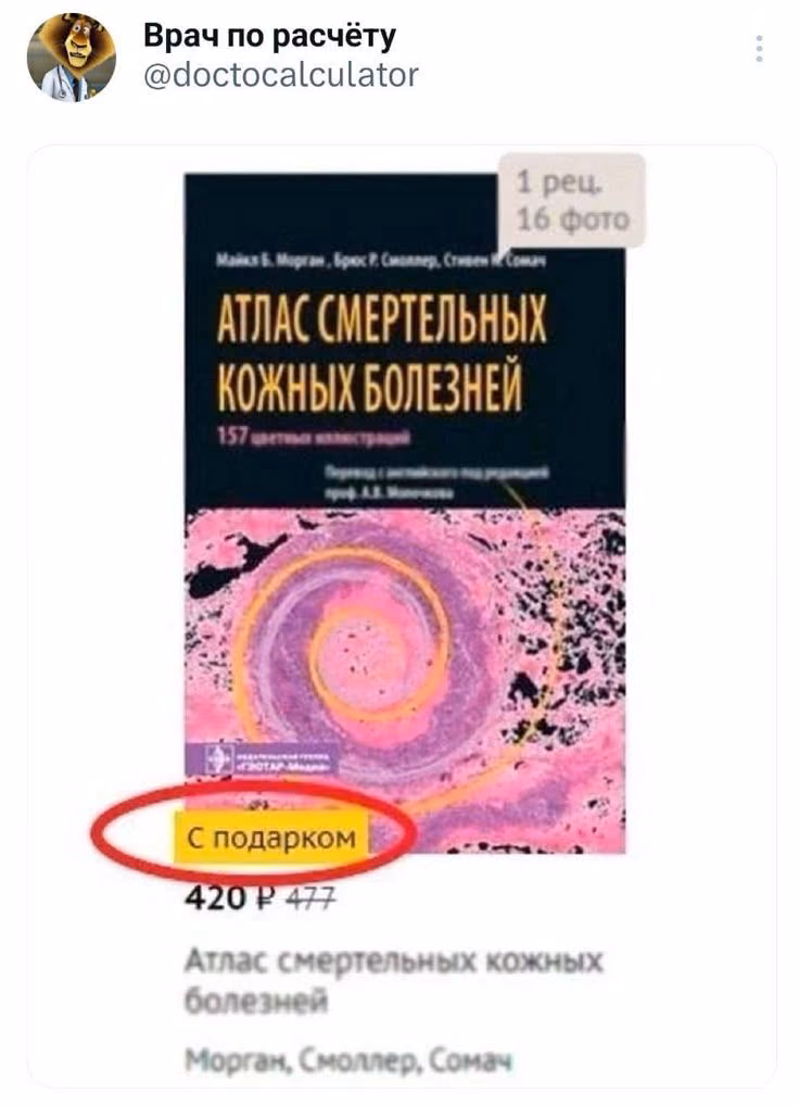 7c822e3e6d98aadfe86621b73653fa64.avif