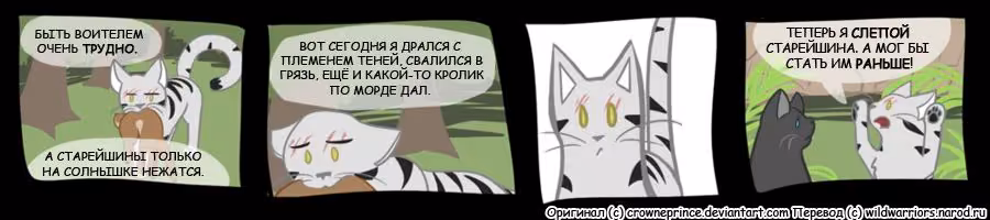 95a40f96db7a740a46b92b1d6572cf6f.jpg