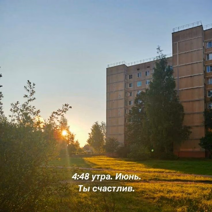 7c90fda04601f0b78dd25cddf11eea59.jpg