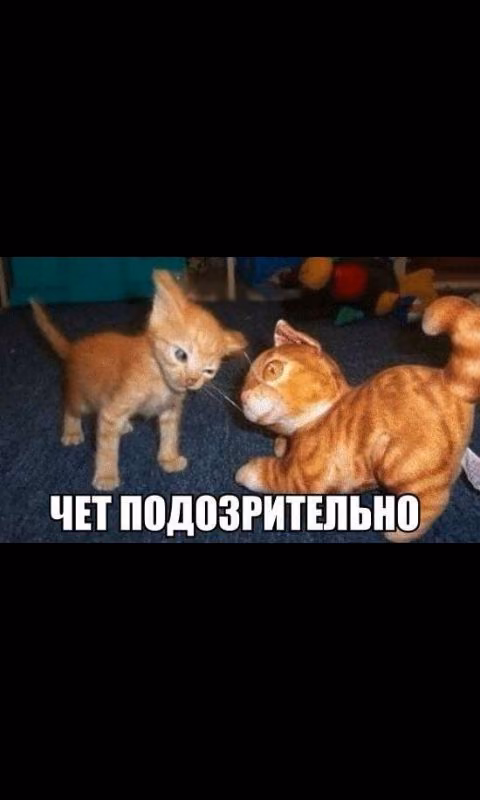 7c986394641157e9d50af3b115f04968.avif