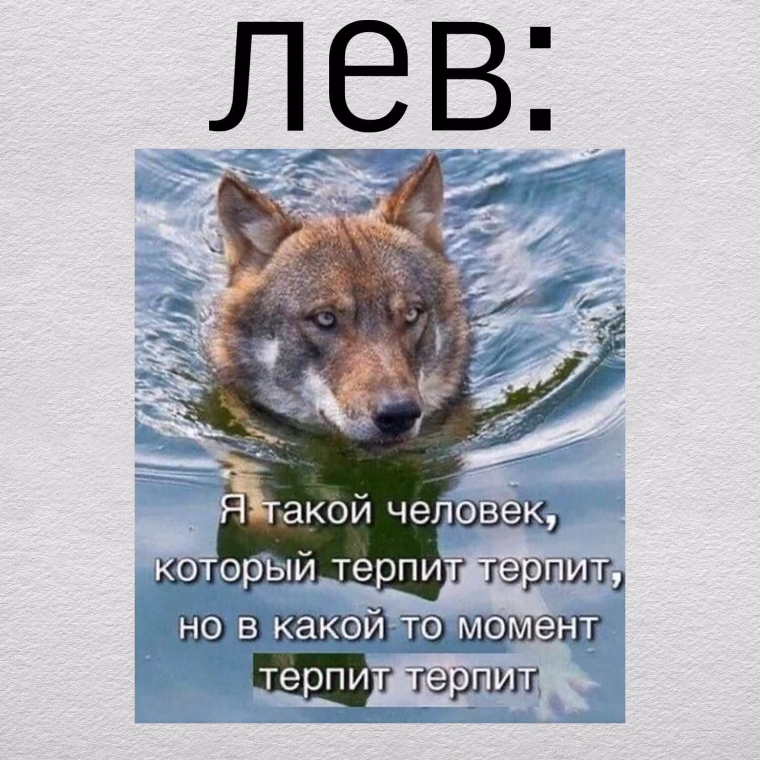 7c9d82e06a7ced1cdab5be9431643107.avif