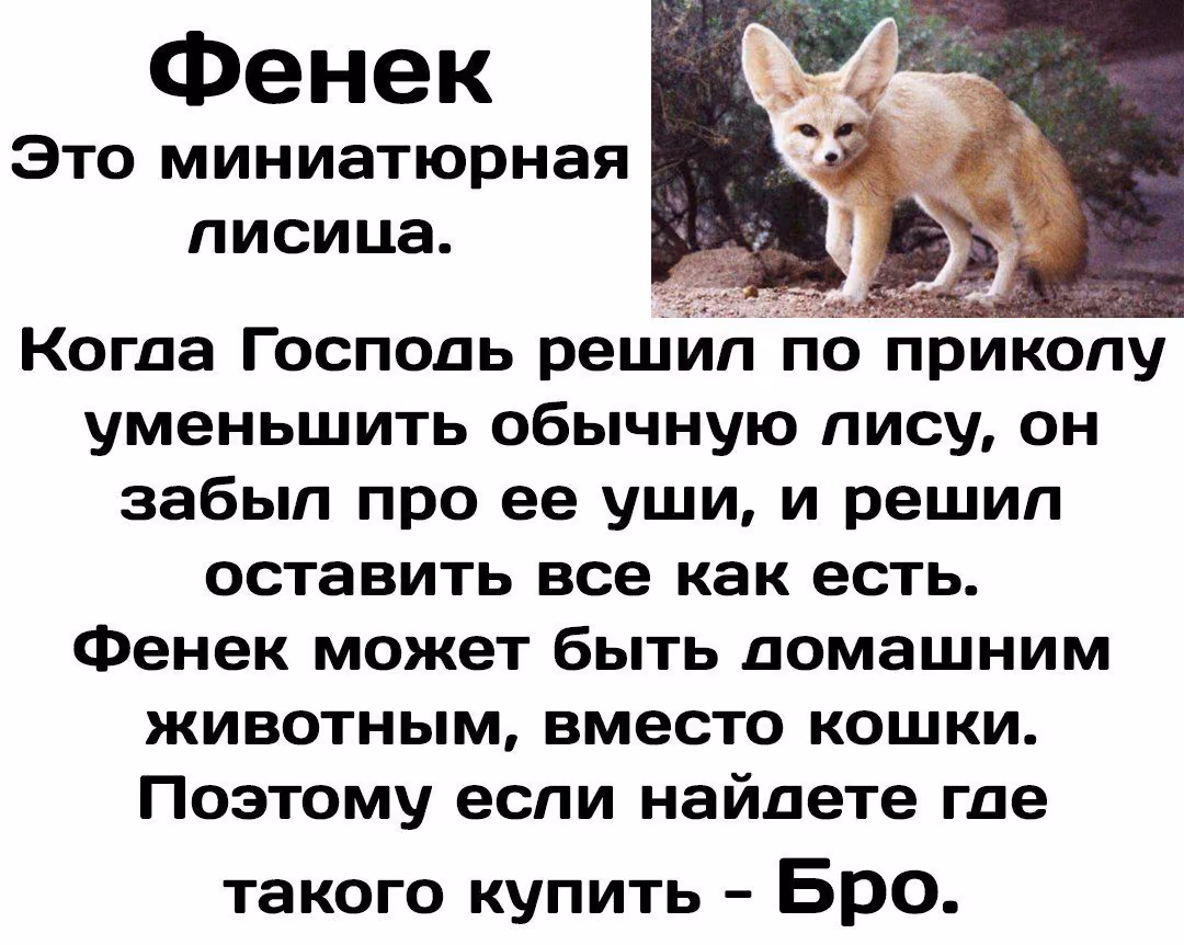 7cca298e9acc7083de4e27611917b6b1.jpg
