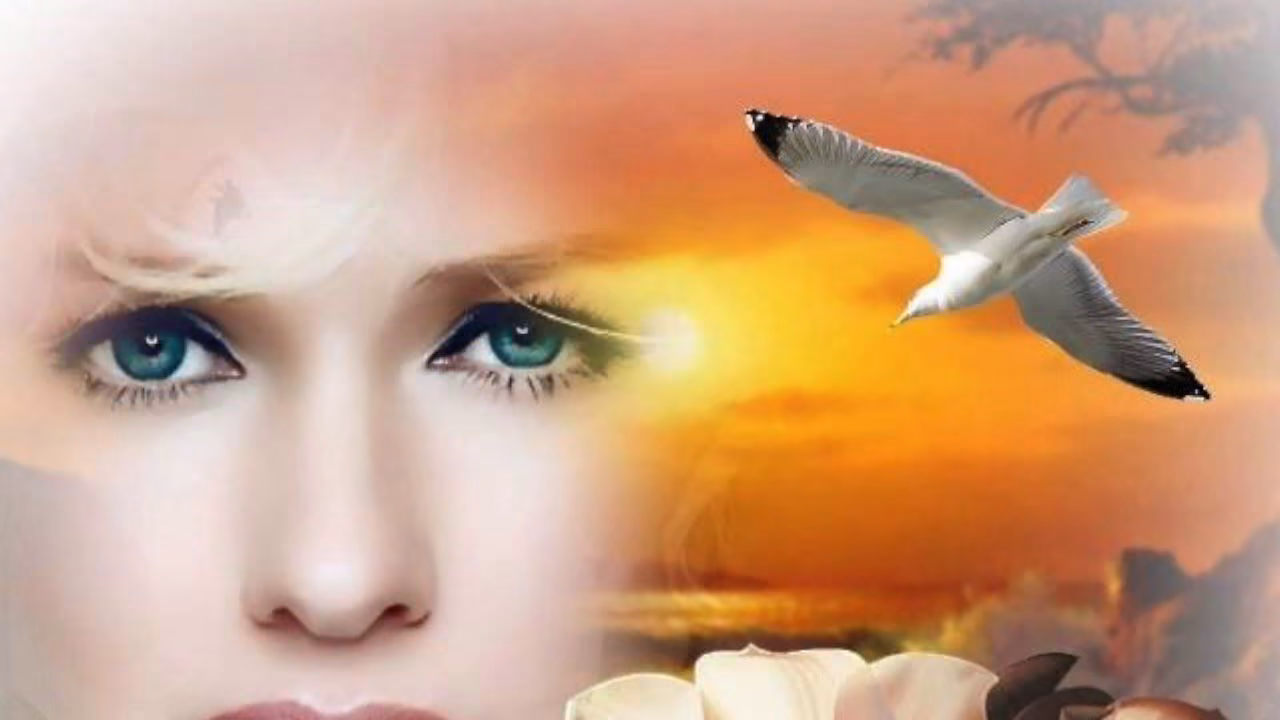 7cd80ee684622a93b0a5ab7c4fbd3d4c.avif