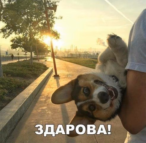 7cd9e641219fff3df9249844d395a811.jpg