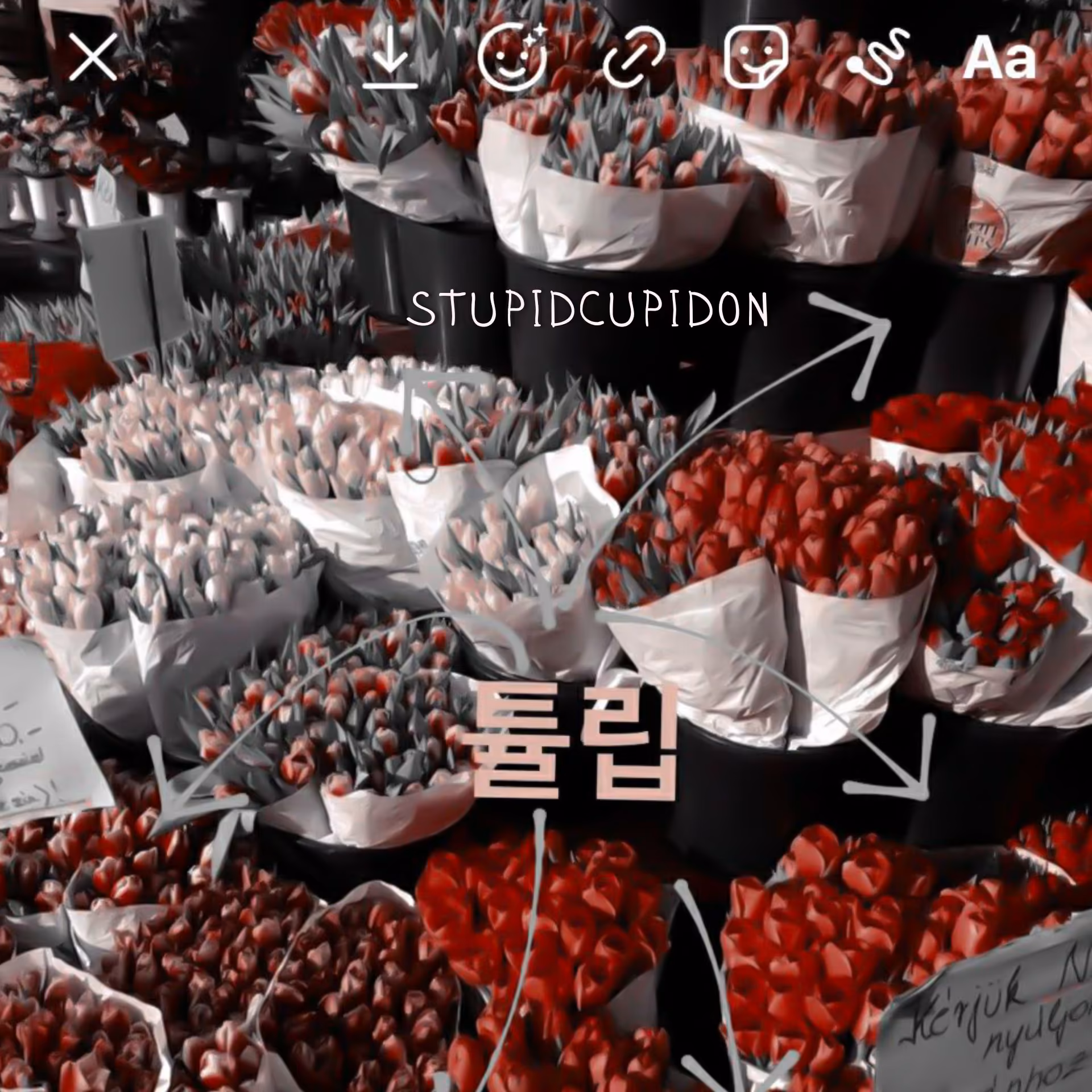 7ce6672f49453a06db940517b9de2a31.jpg
