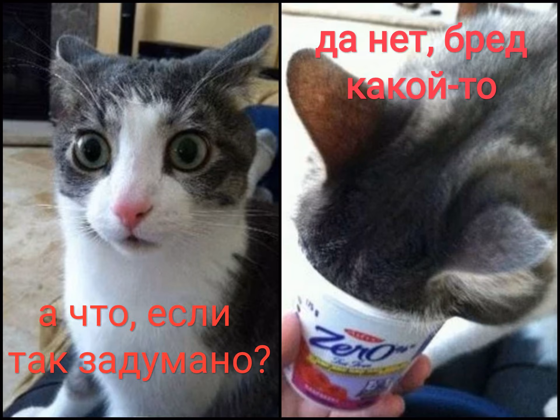 7ce71b4084af5526e34bca817cf1be3a.avif