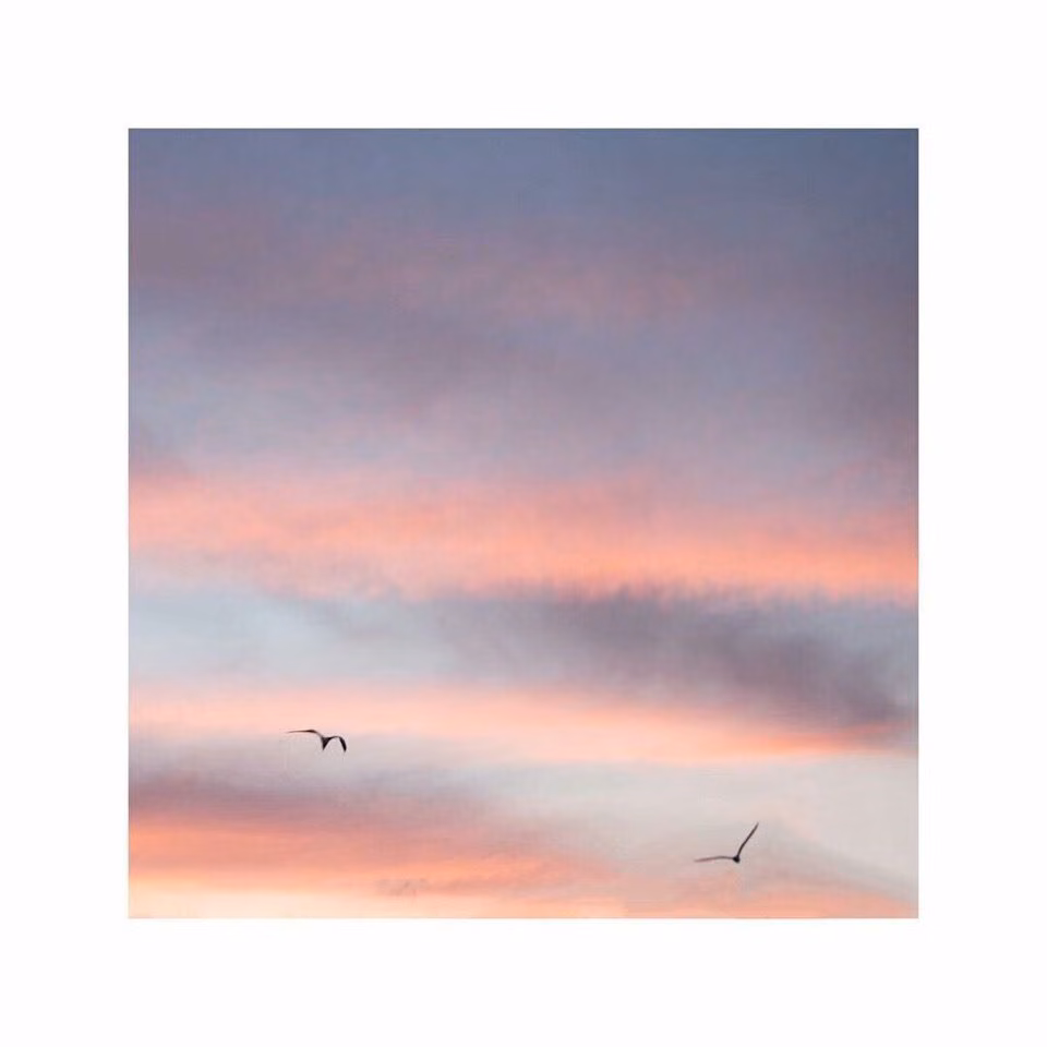7ce8966eeb72182373d3c9764b0f3bf1.avif