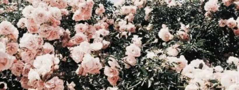 7cf32bc3ea6f65e2d41b11bcb4b84109.avif