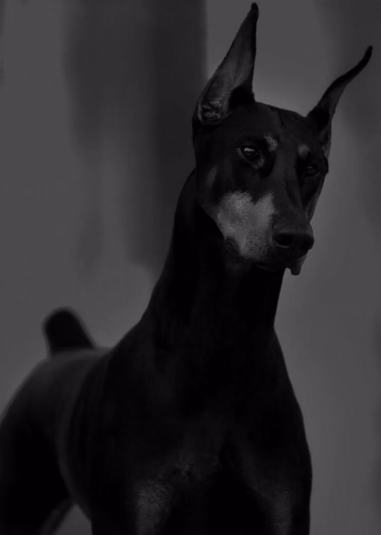 7d10ee315cb05b2d6dcbb7d31518b78c.jpg