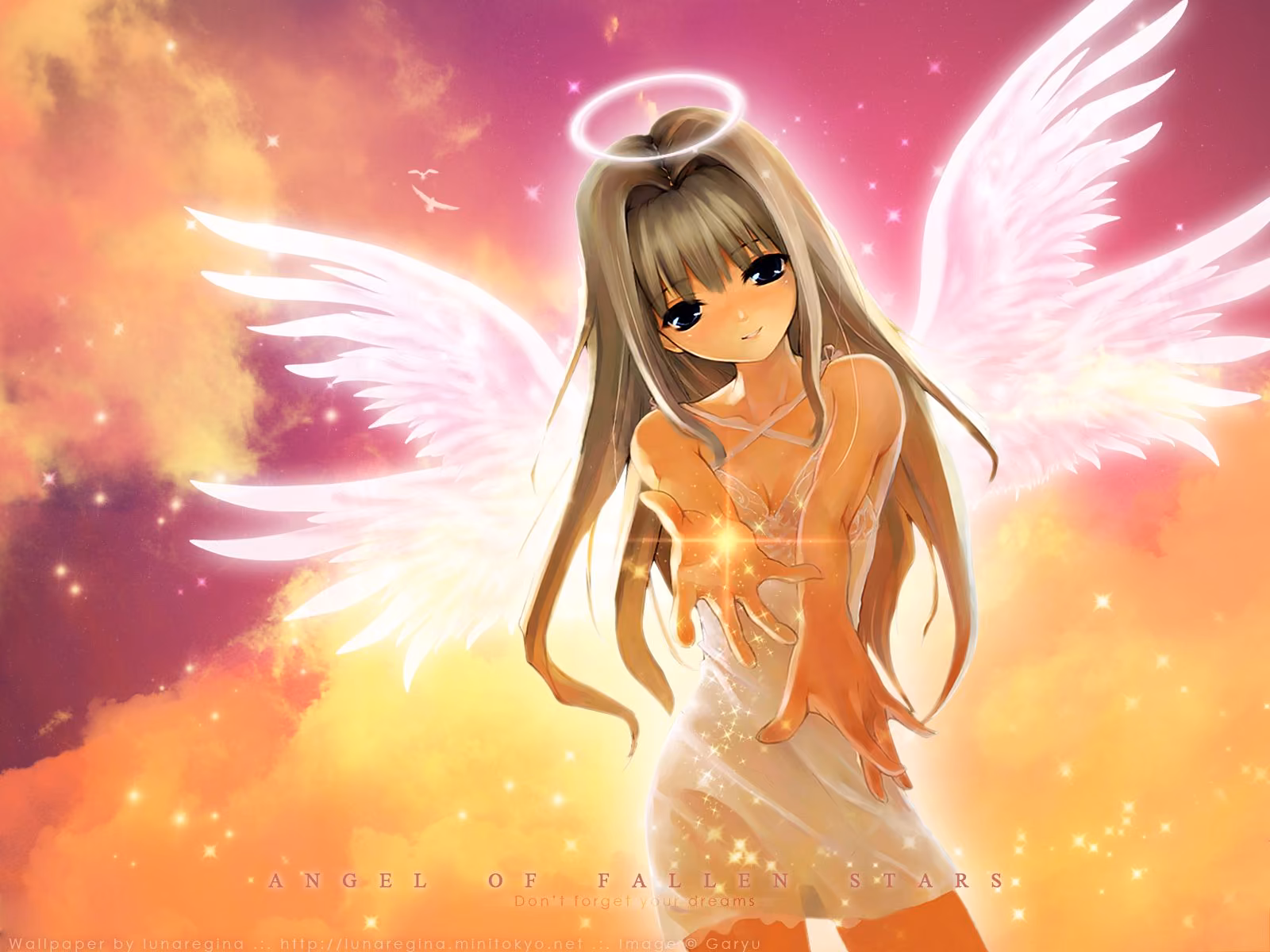 7d184ed3e91adbbc6c3b1c9f01a0883d.jpg
