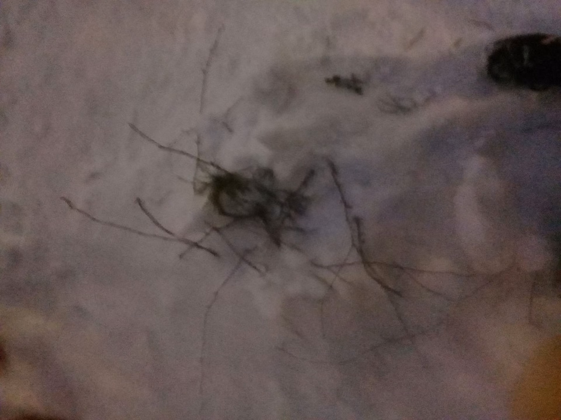 7d2d3a04e0a578ce619c37d1441c7bc1.avif