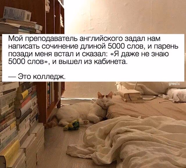 7d2d76e645bf49256f43d1ff2c51f3ef.jpg