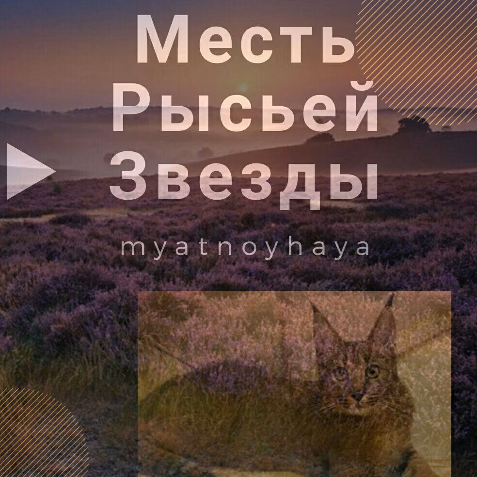 7d327116daba294e9d497d80aa322de8.avif