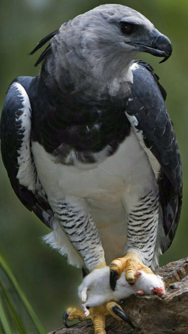 7d42b7e260909790eb4de6bf3c25abc0.avif