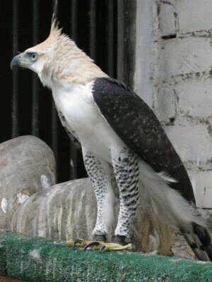 7d42f022a3aaf1eff11cad949cecb91e.avif