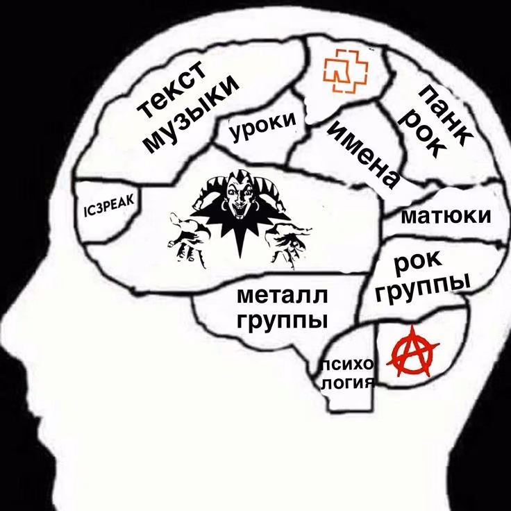 7d47ca913a2c23b862c68200c3b75a13.avif