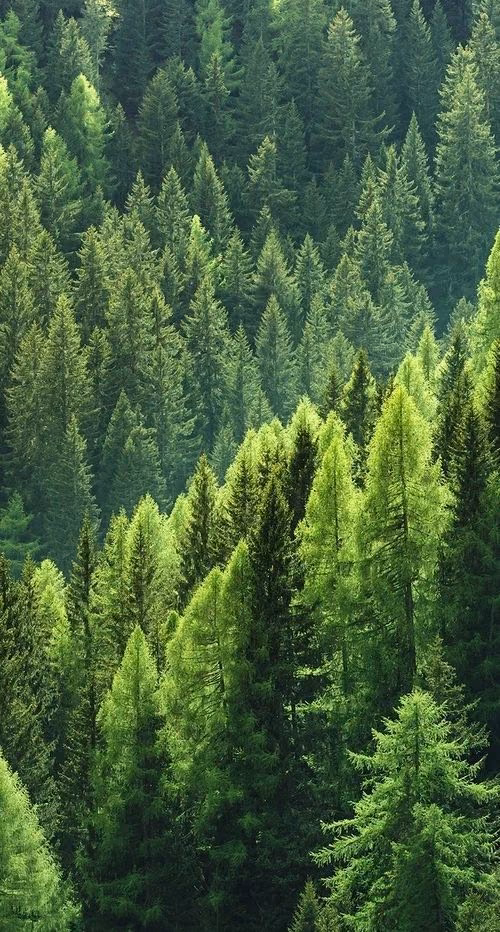 7d52e645905a9d25676202b5d53ca1c9.jpg
