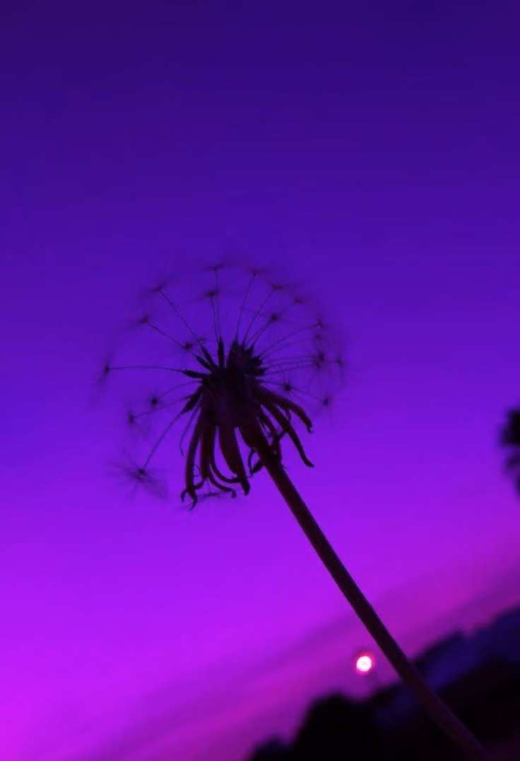 7d62b0d237c0229750ceca431510909a.jpg