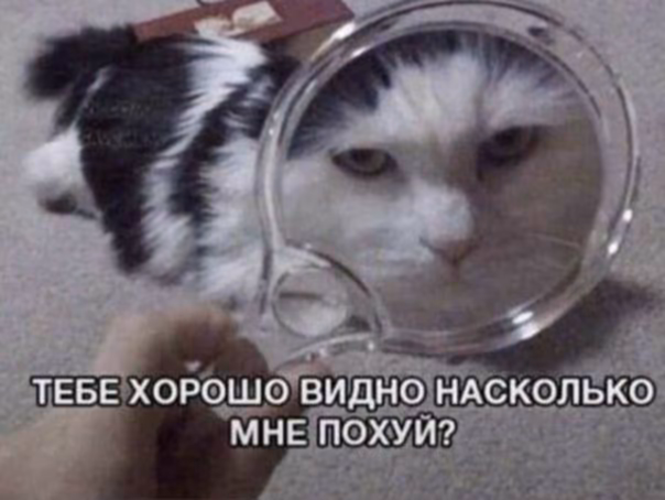 7d65c6f36af8f22618b37bc43c089f24.jpg
