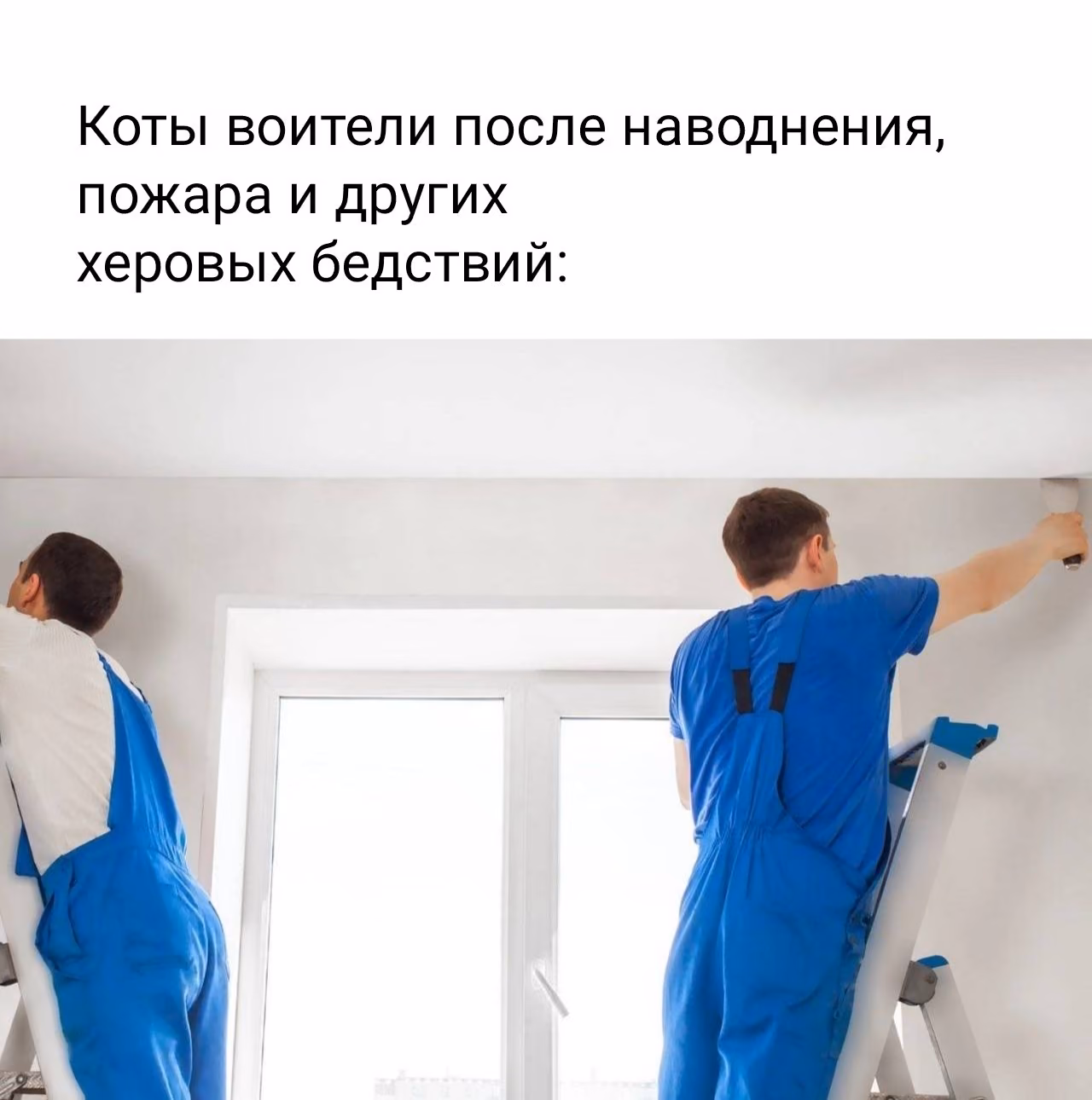7d69e9a81dbb6bb432bb09169404938f.avif