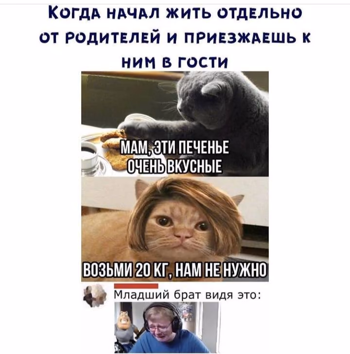 7d6fa0b75802b9305c696254bf485534.avif