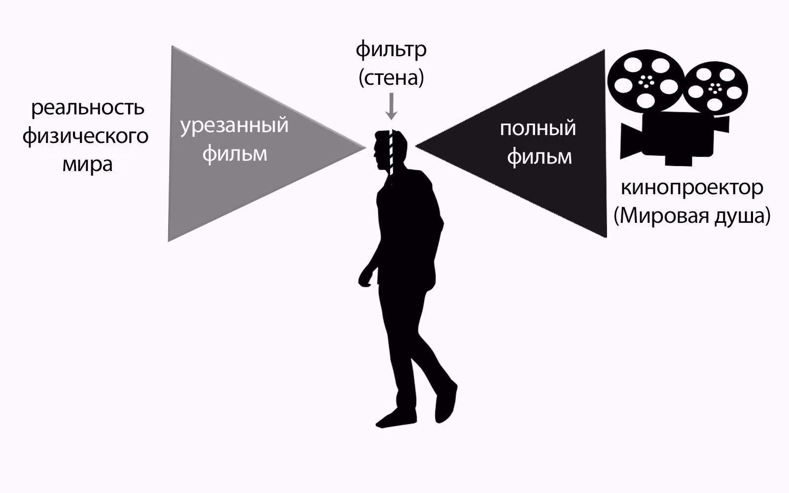 7d730e48a75bdc1aaad920fb3dfa058e.avif