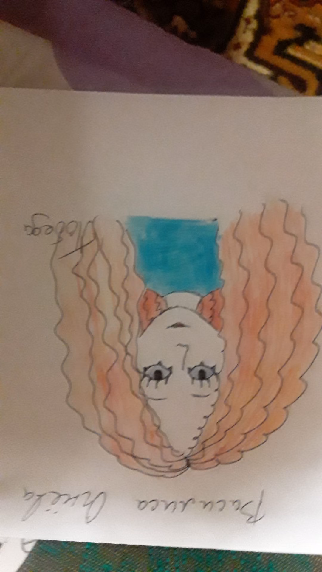 7d734a9bd06ddf37d745a70f64411d13.jpg