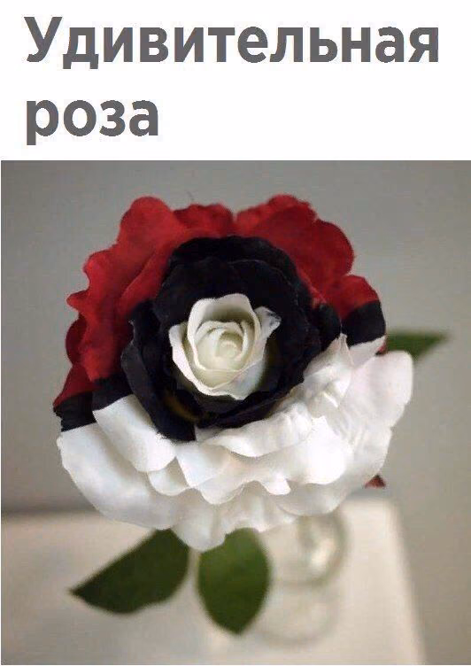 7d7a3f1f542f33fbb89241b250165122.avif